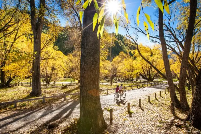 Autumn colour along the Arrow River near Arrowtown