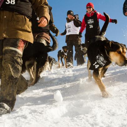 Dogs and masters enjoyed epic snow conditions at The Remarkables for the Dog Derby media