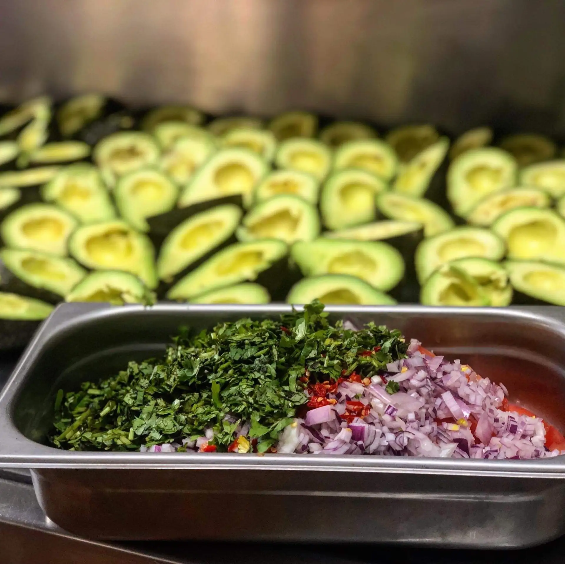 Coyote Grill - Mexican Restaurant