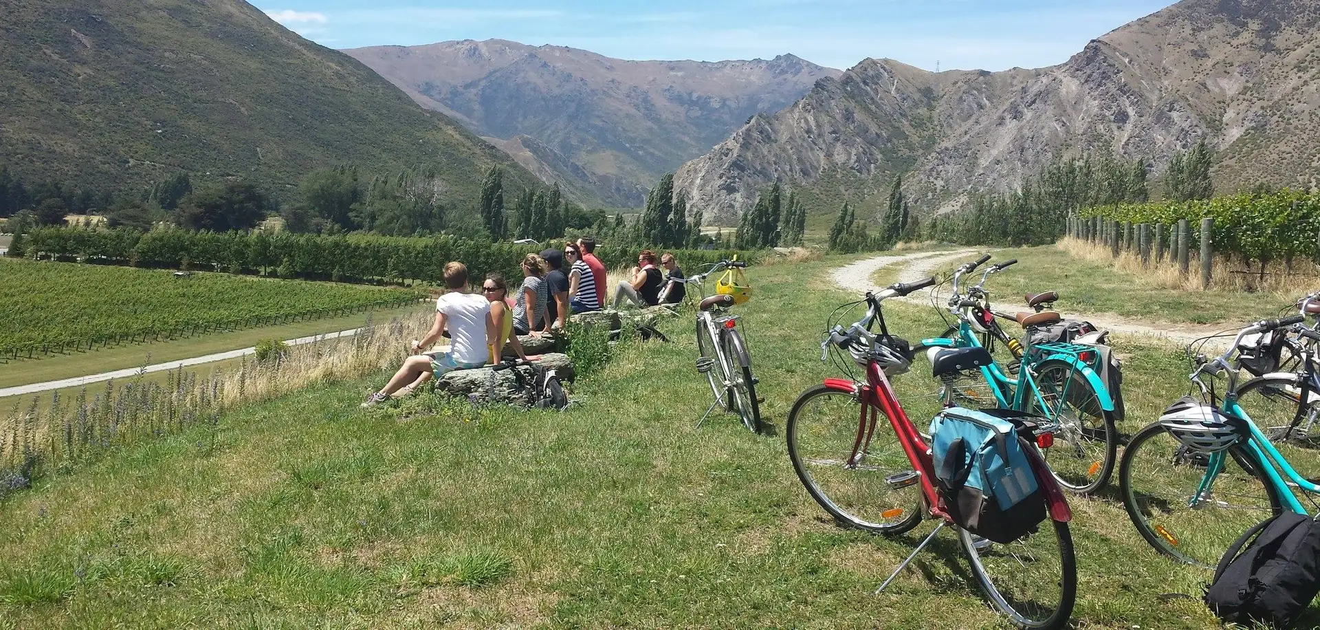Fork & Pedal Tours