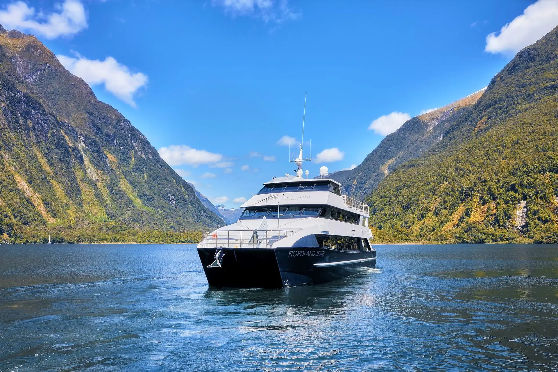 Fiordland Discovery