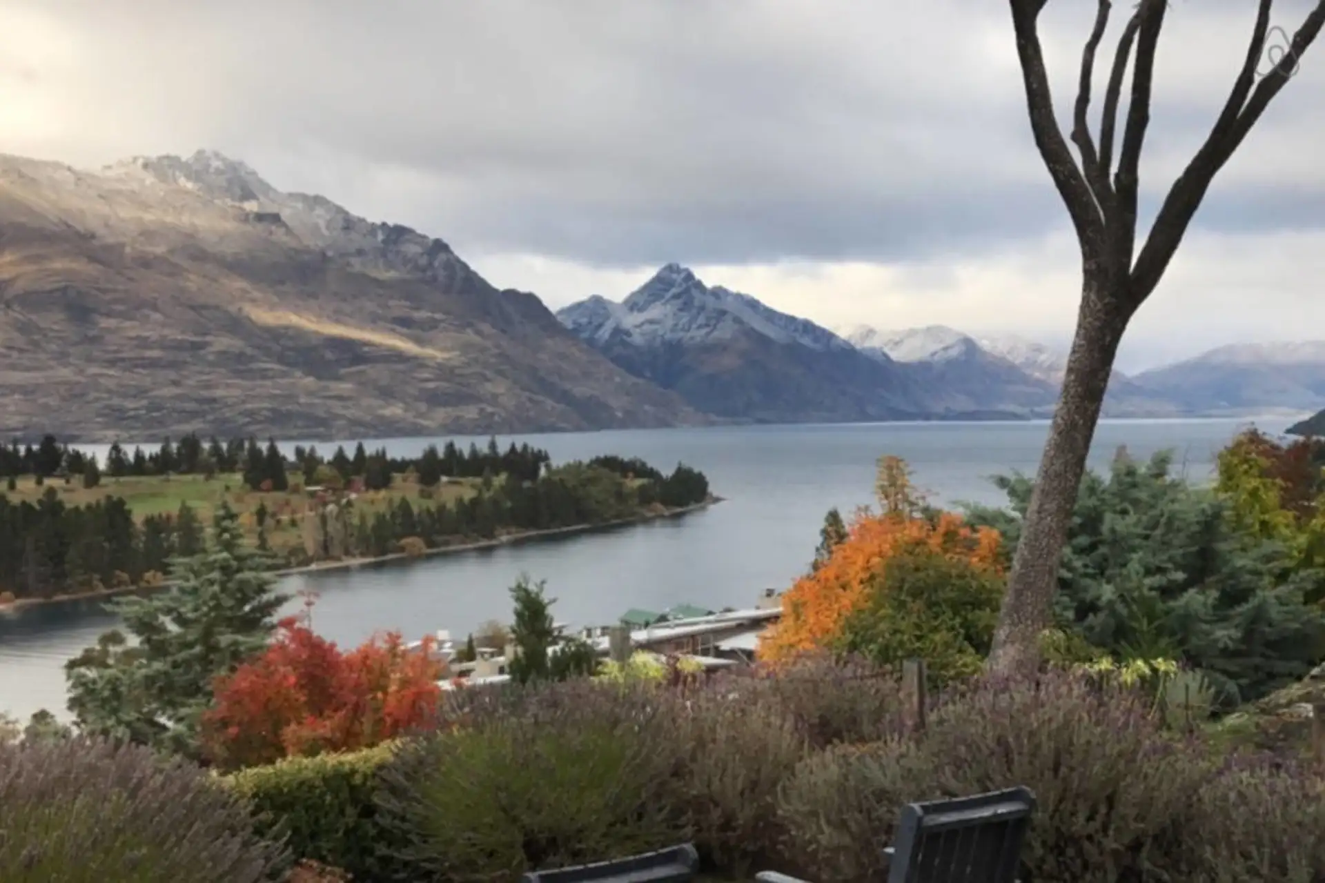 Wakatipu Gem