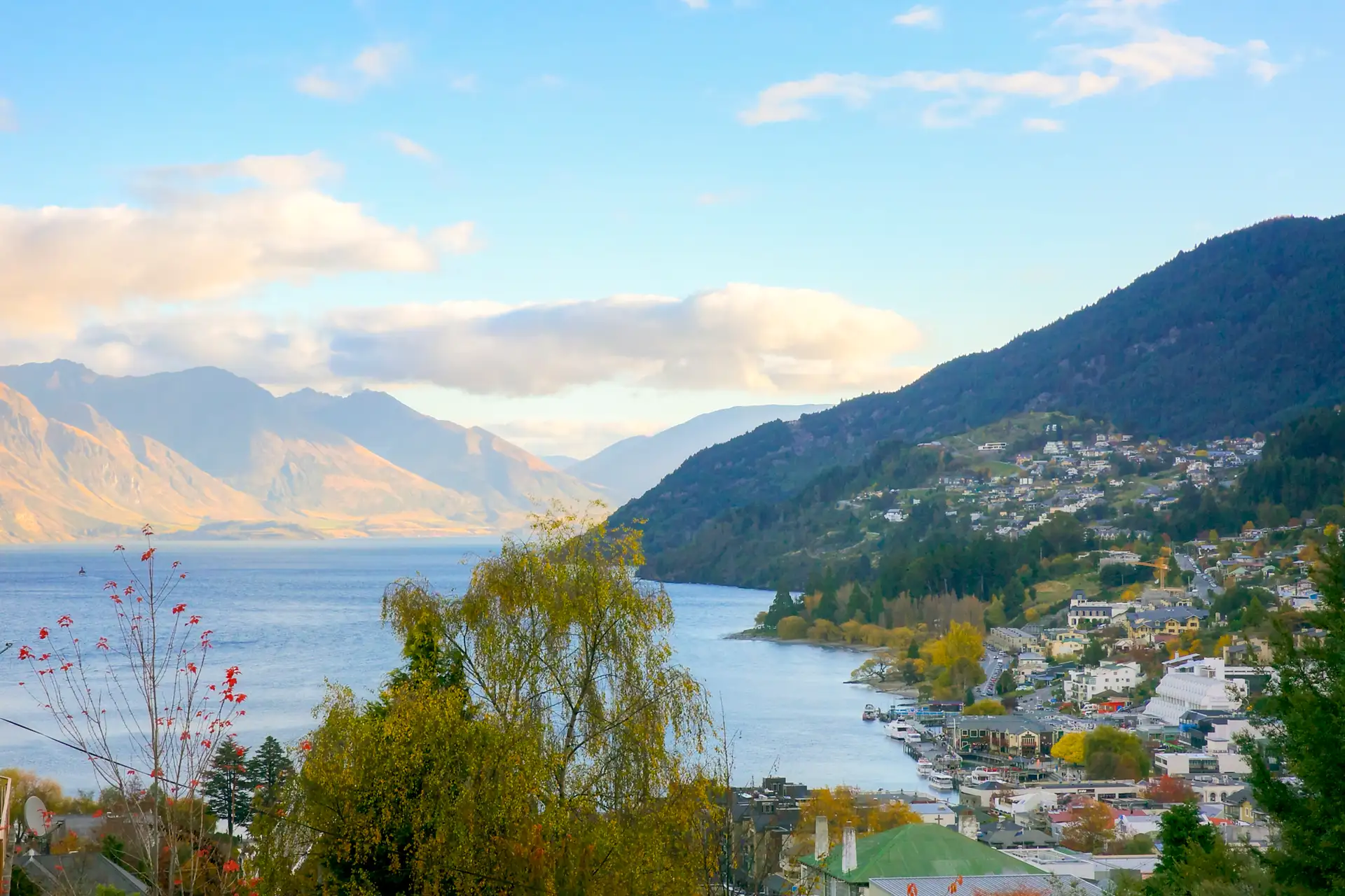 Queenstown Escape 17