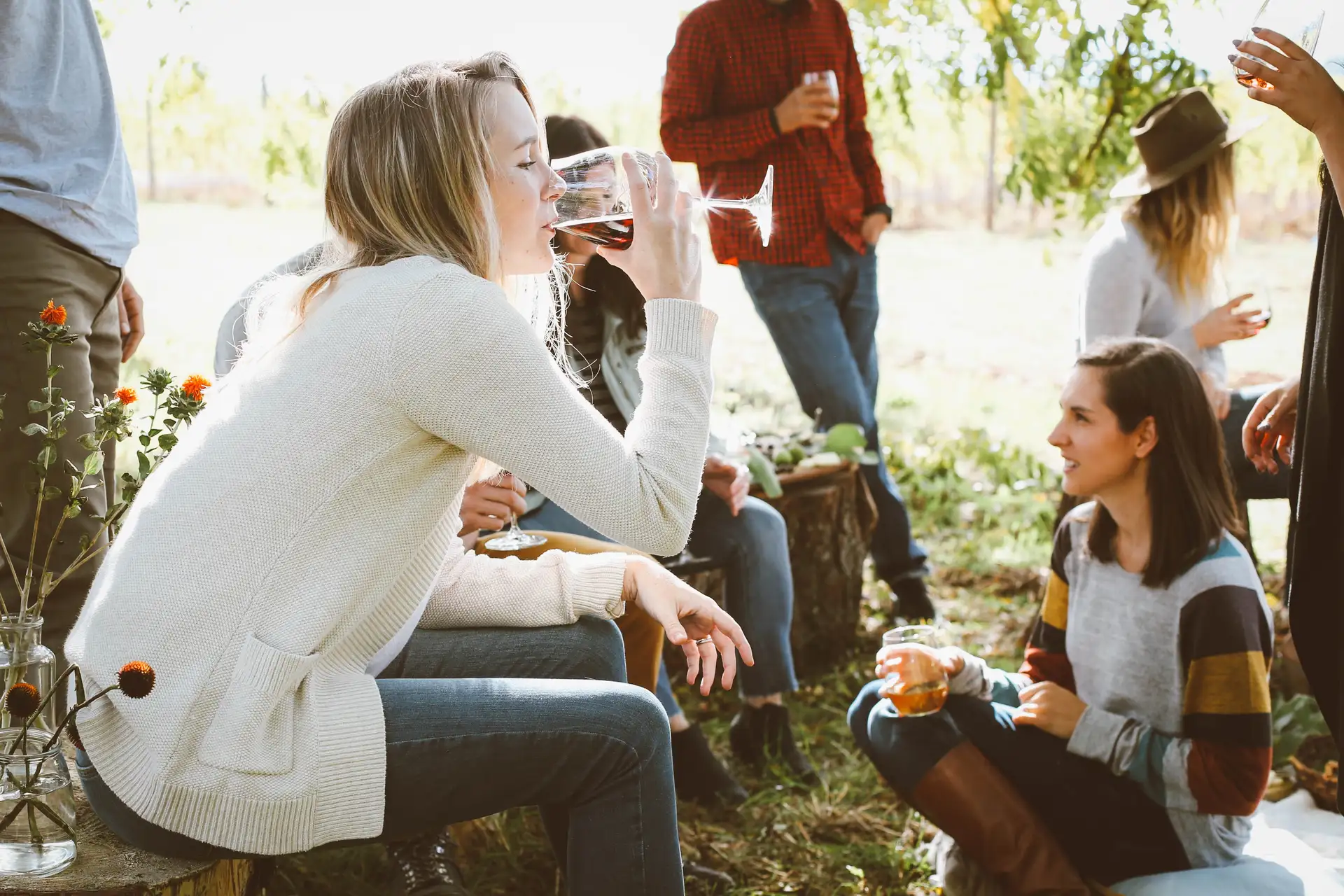 Queenstown Winery Tours