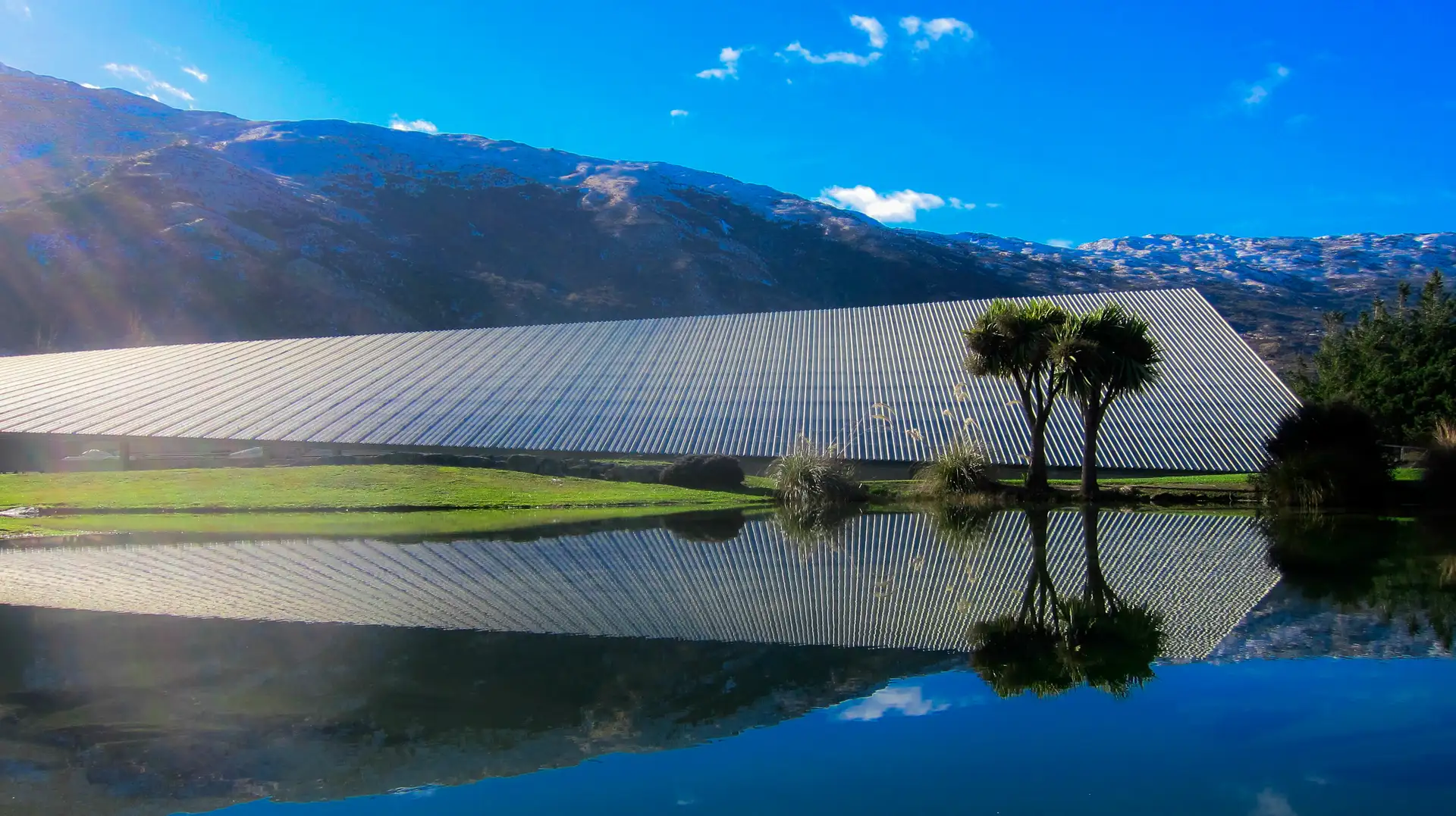 Wineries & Wine Tours