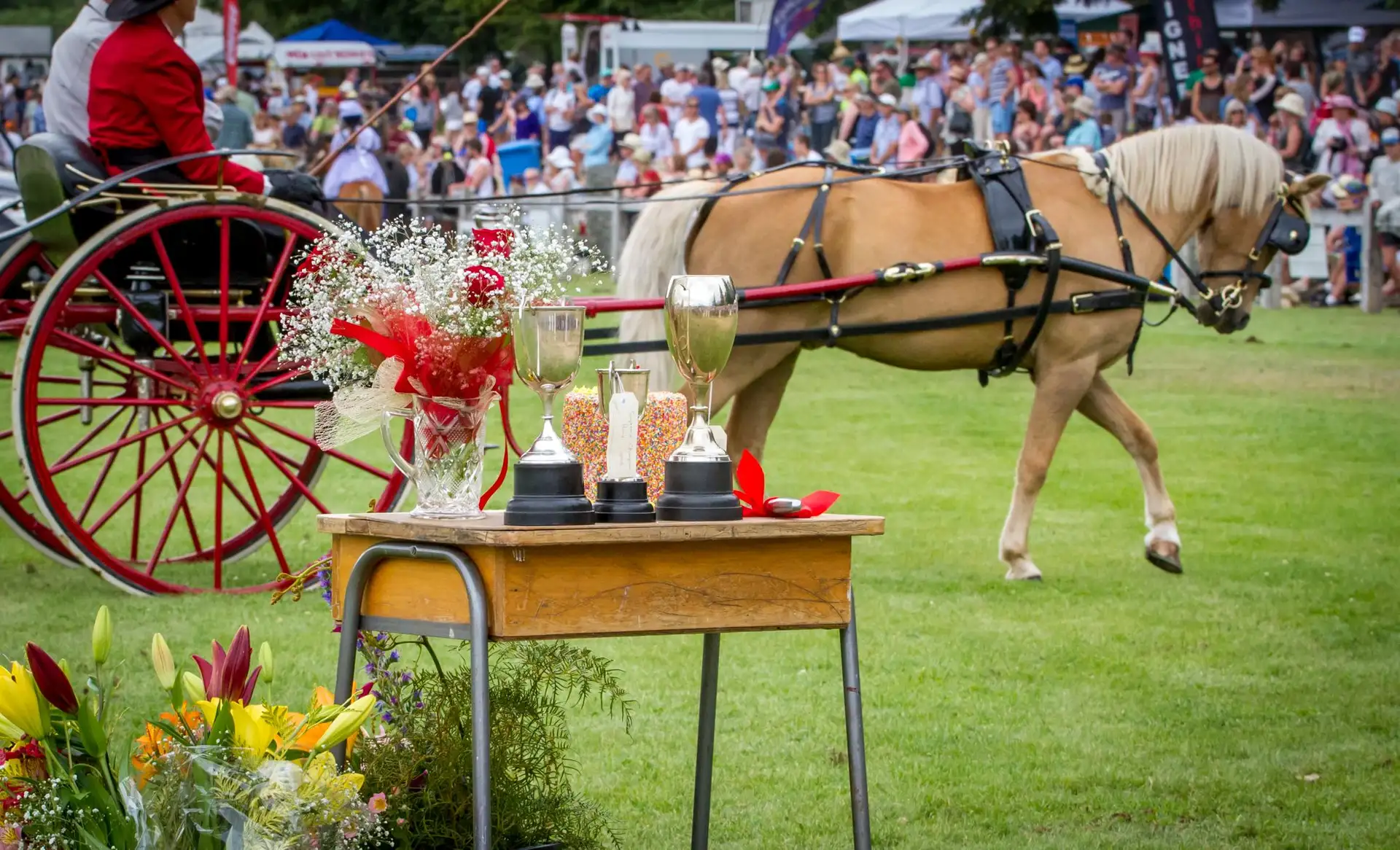 Lake Hayes A&P Show 2017