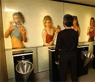 Sofitel Queenstown toilets