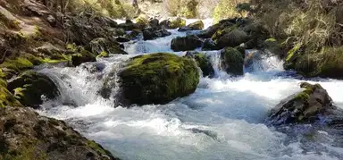 lower wye creek