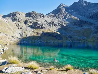 alta
