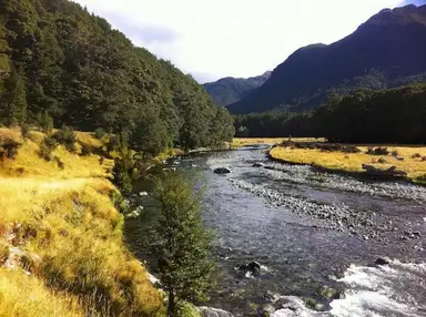 Caples river track
