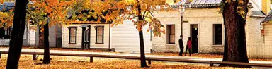 Buckingham Street, Arrowtown, in autumn