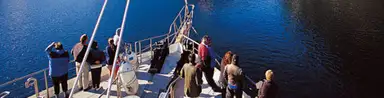 Cruising Doubtful Sound