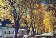 Arrowtown