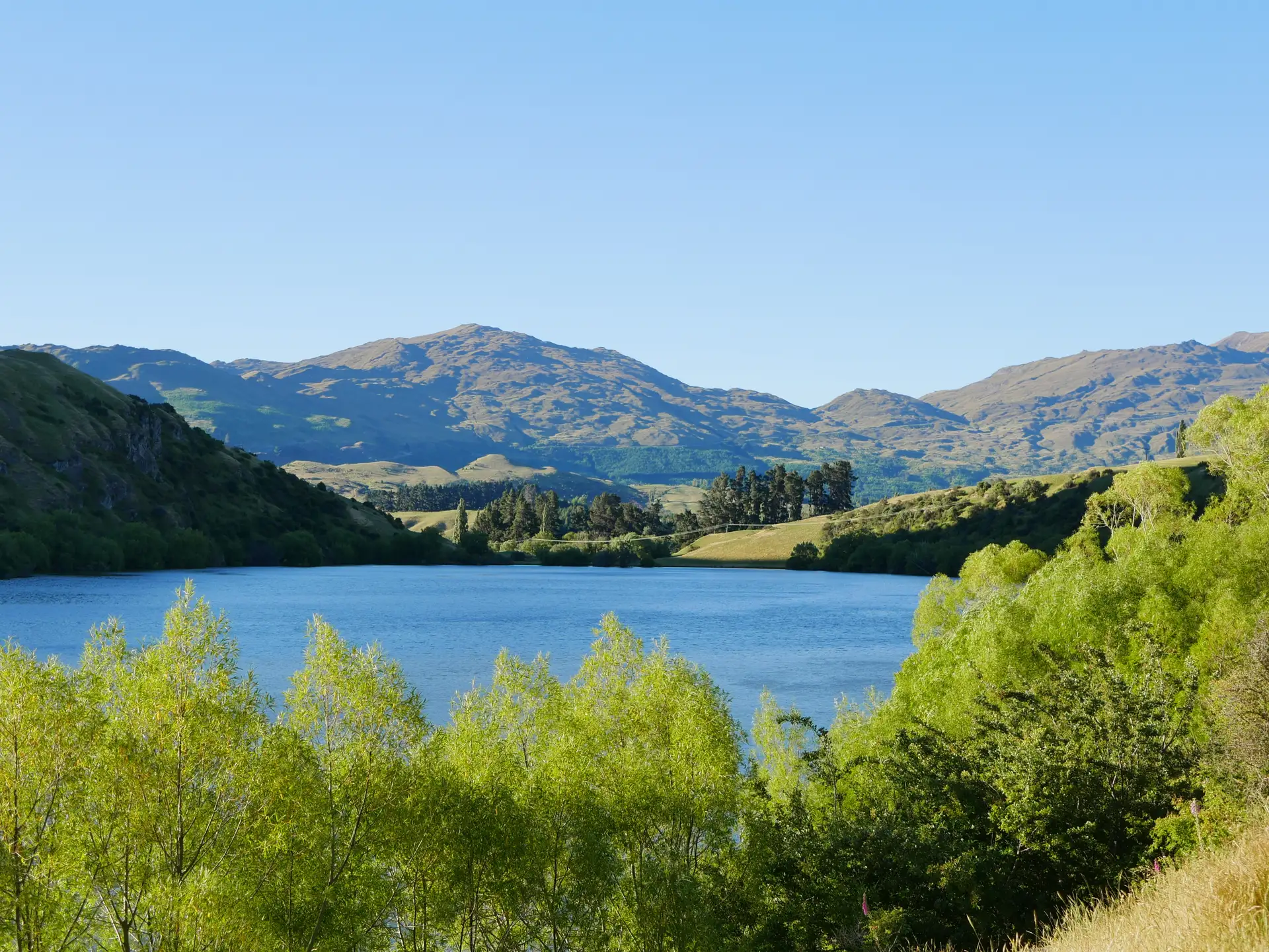 lake johnson