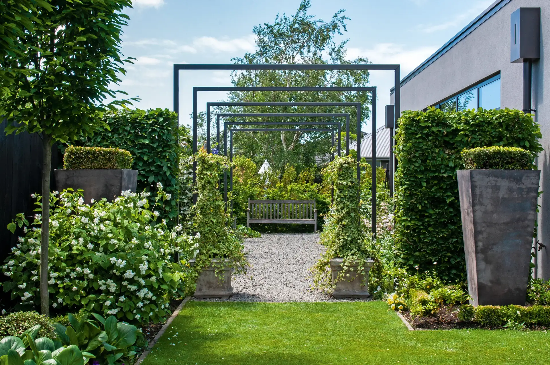 A private garden opened on the NZ House and Garden Tours, with clipped hedges, white roses in pots and steel arches over a gravel path leading to a timber bench