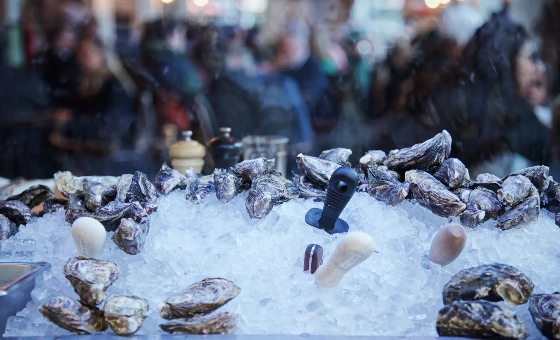 Oysters and shellfish laid out on a bed of crushed ice at the seafood counter at Prospects.