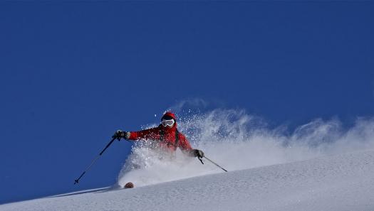 Snow and Mountain Guides