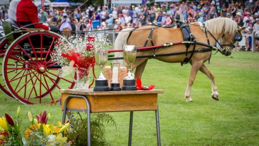 Lake Hayes A&P Show 2017