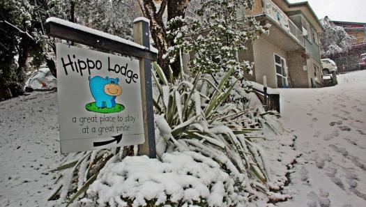 Hippo Lodge