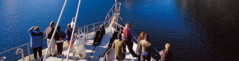 Doubtful Sound Cruise